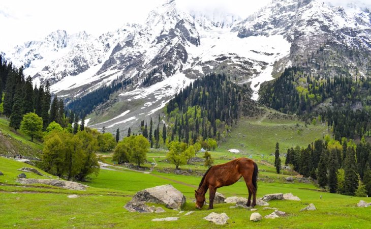 Kashmir Taxi Rental